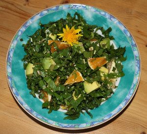 Löwenzahn-salat-2